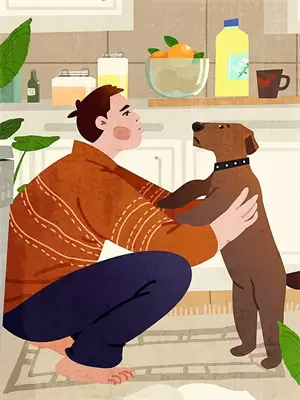 真相推理师破镜在线阅读