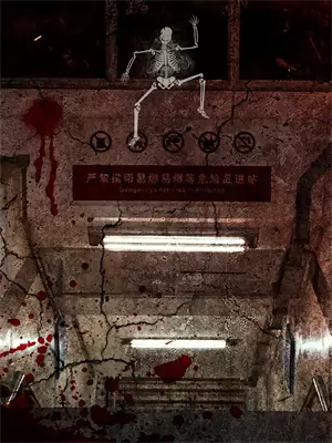 hp什么时候出的