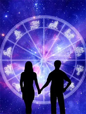 赘婿战神奶爸小说