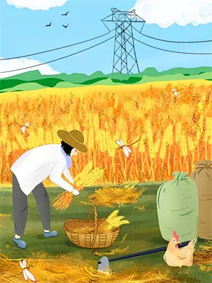 添加燕窝酸的功效