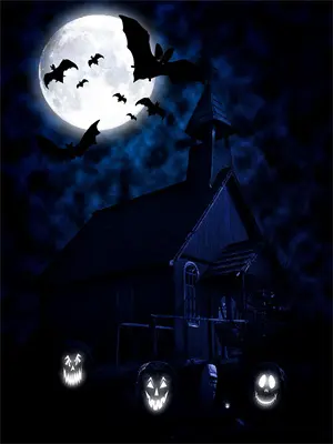 主角是秩序之神转世